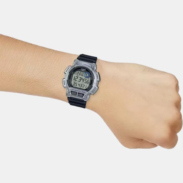 CASIO D244